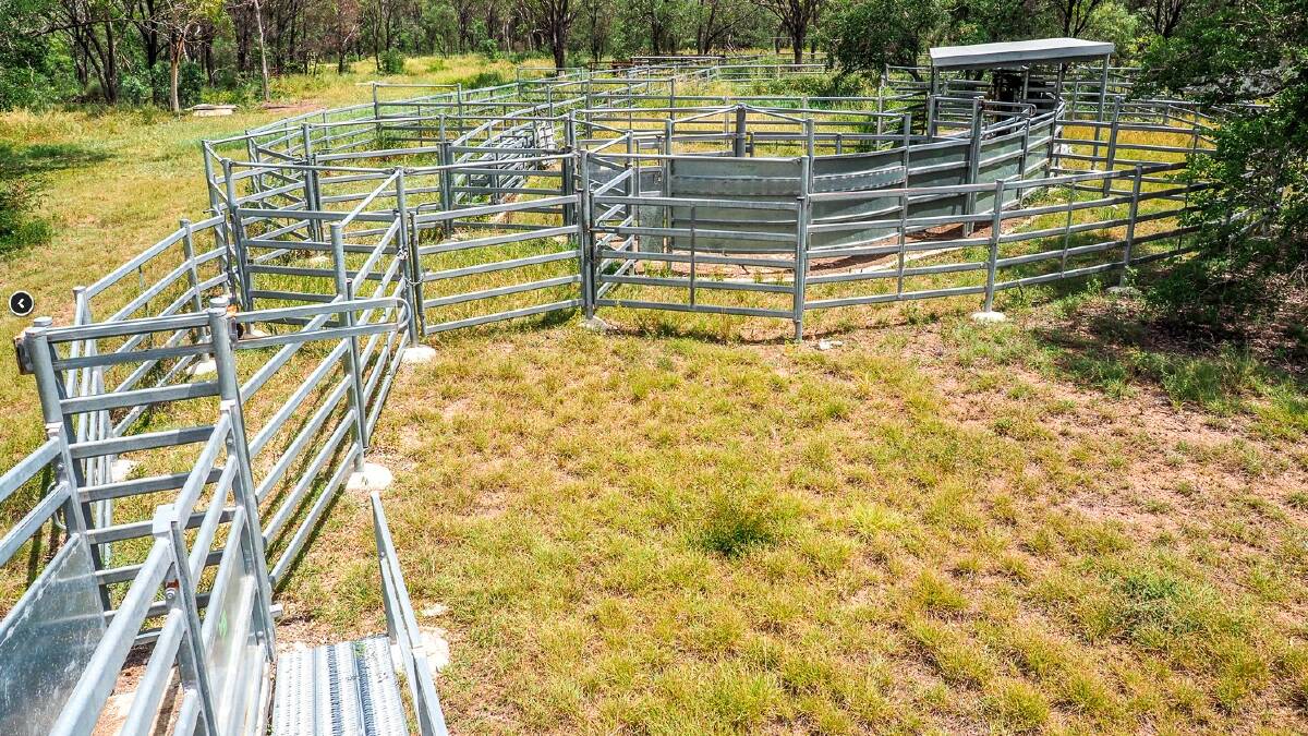 Pakington has a very practical set of steel cattle yards with the main working area and ramp designed and constructed by ProWay.