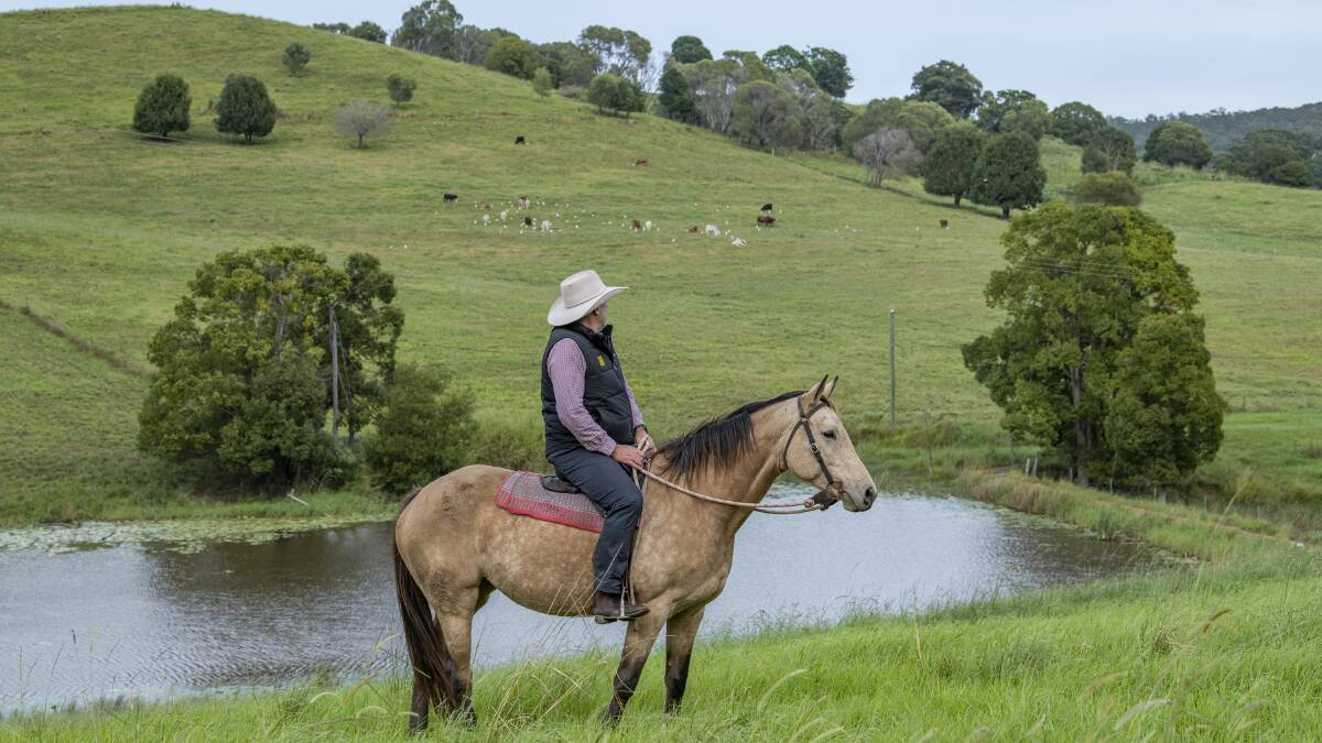 Entertainer in the heart of cattle country | Video