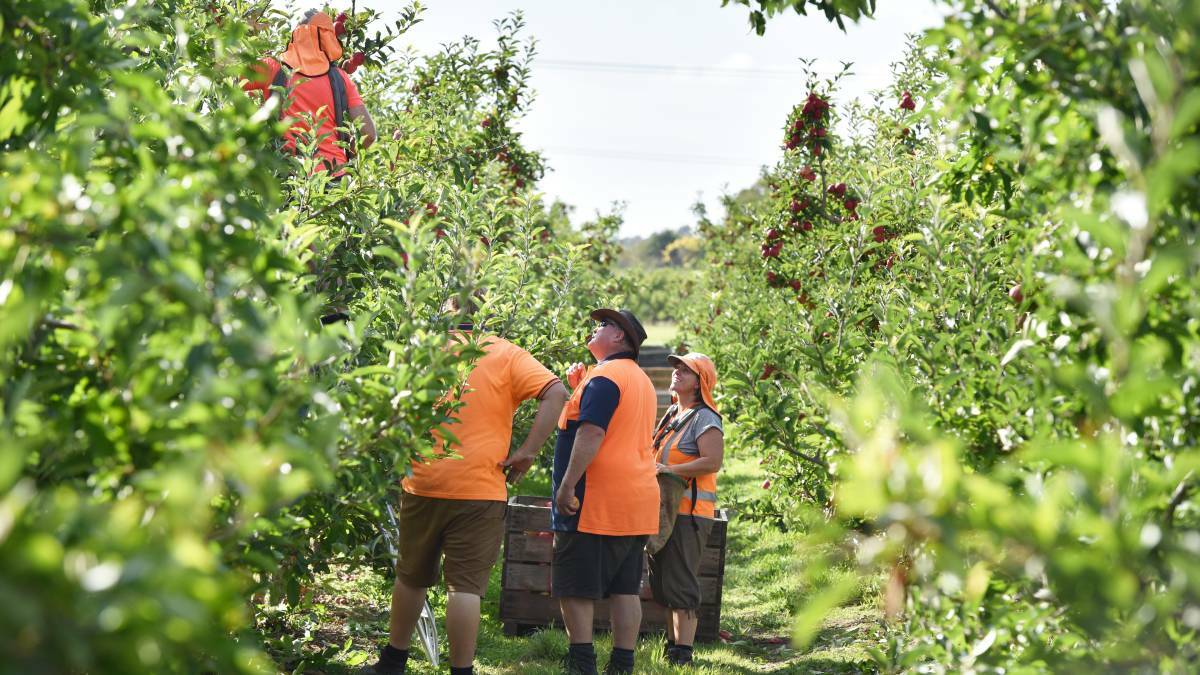 Farmers are backing Annastacia Palaszczuk to grow Queensland's horticulture industry. 