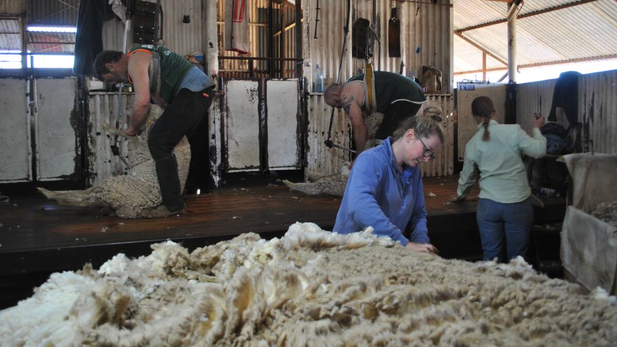 Tegan Walker skirting fleeces at Glenelg, Mungallala. 