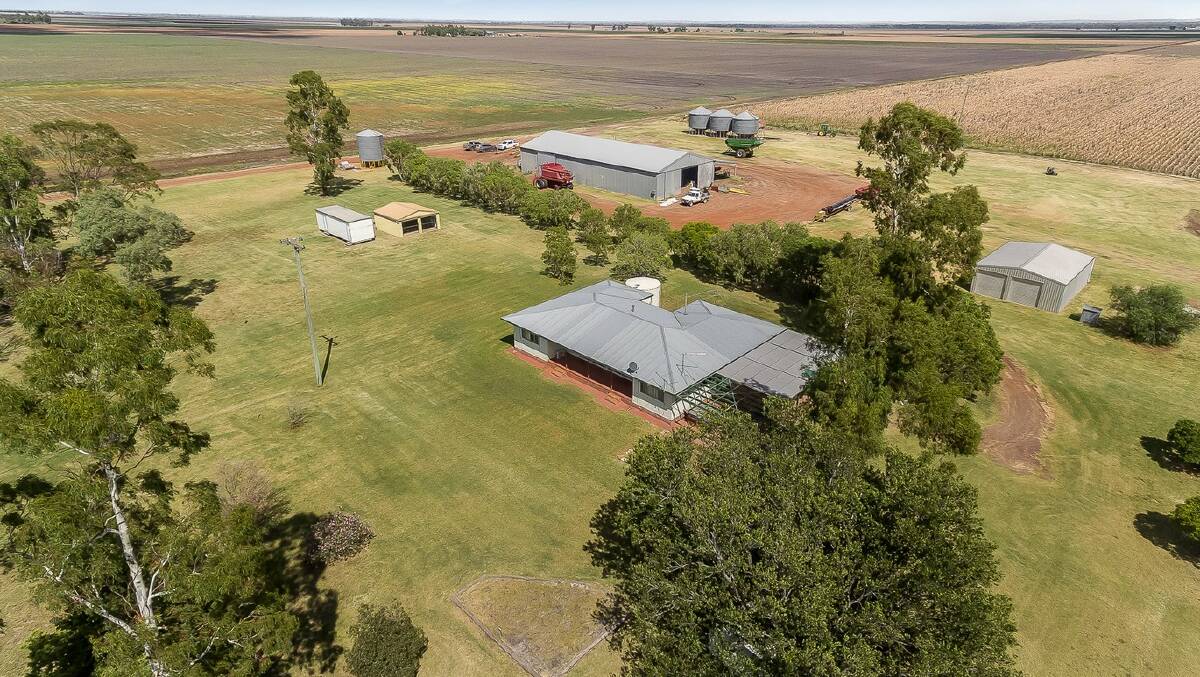 Hamstead at Cecil Plains made $3.35m at auction.