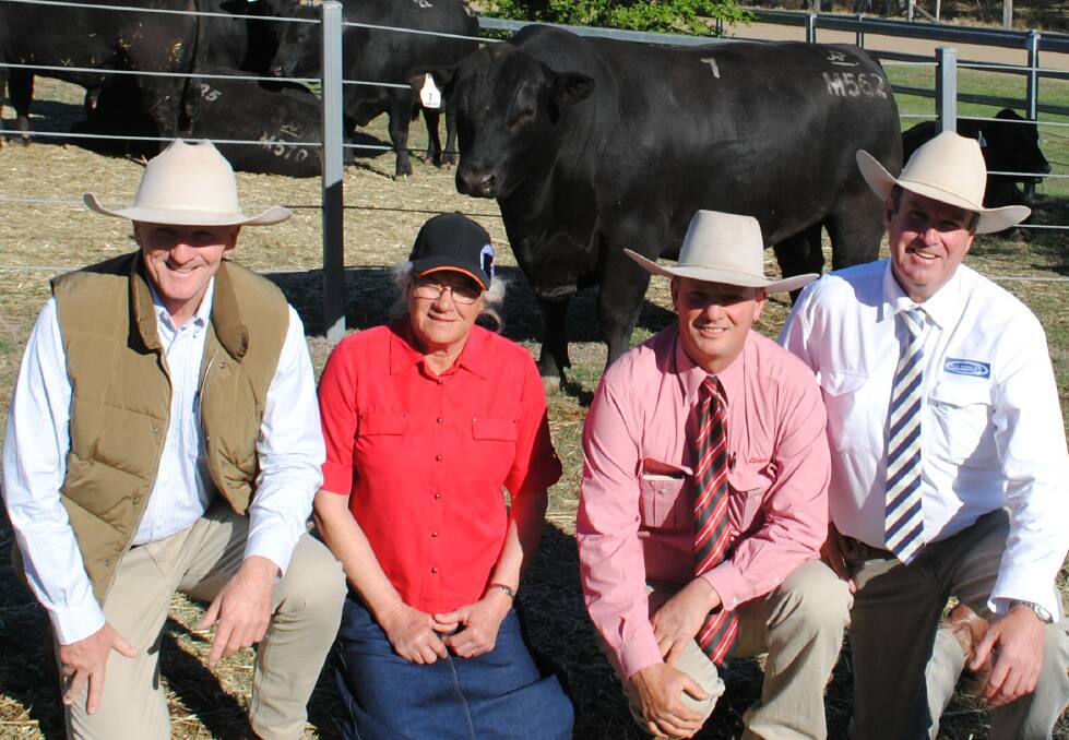Top priced Angus: Robyn Botto (pictured second from left), Larksghyll, Tara, paid $16,000 for Ascot Monarch. Ms Boto is with Jim Wedge, Ascot Stud, Warwick, Craig Davison, Elders, Tara, and auctioneer Paul Dooley.
