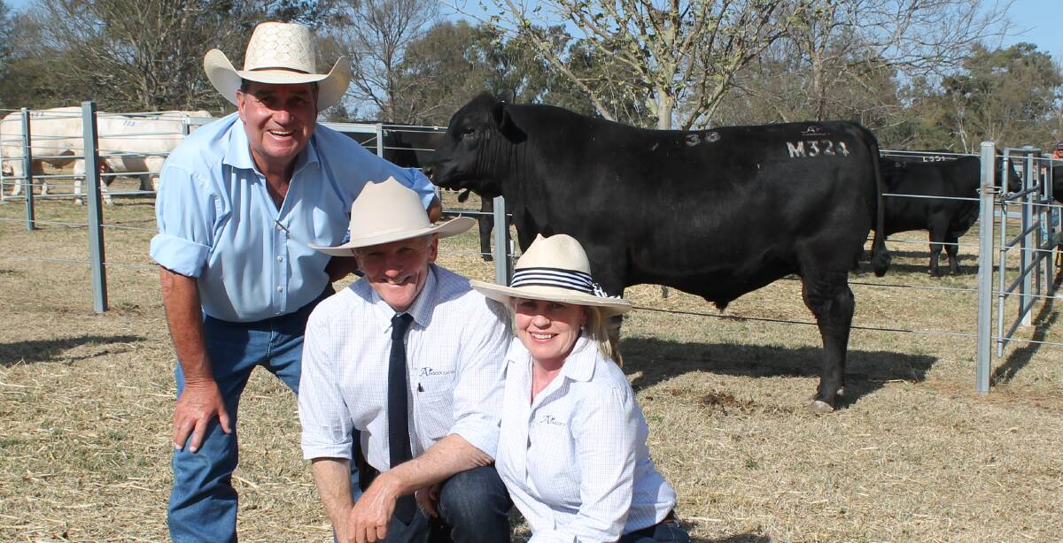 Mike Wilson, Mike Wilson Stud Stock, with Jim and Jackie Wedge, Ascot, Stud, Warwick, with the top priced Angus which made $22,000.