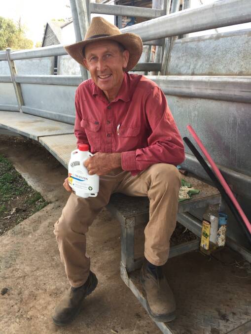 South East Queensland beef producer Lance Bischoff is using the relief product Tri-product Solfen on his cattle herd.