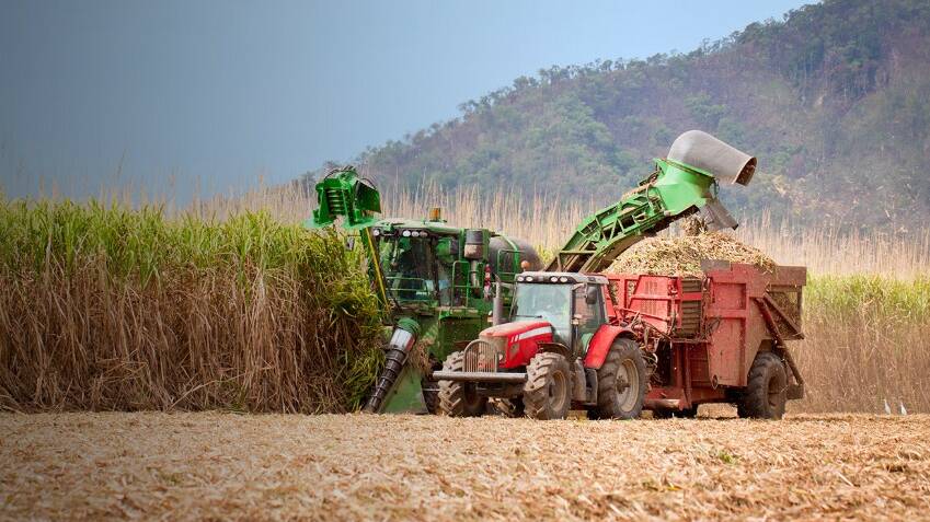 CRUSHED: Queensland's sugar industry has copped a $1 billion hit as a direct result of Indian government subsidies.