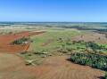 Narran Park is 381 hectares of productive kurrajong country with rich red basalt to red loam soils. Picture supplied