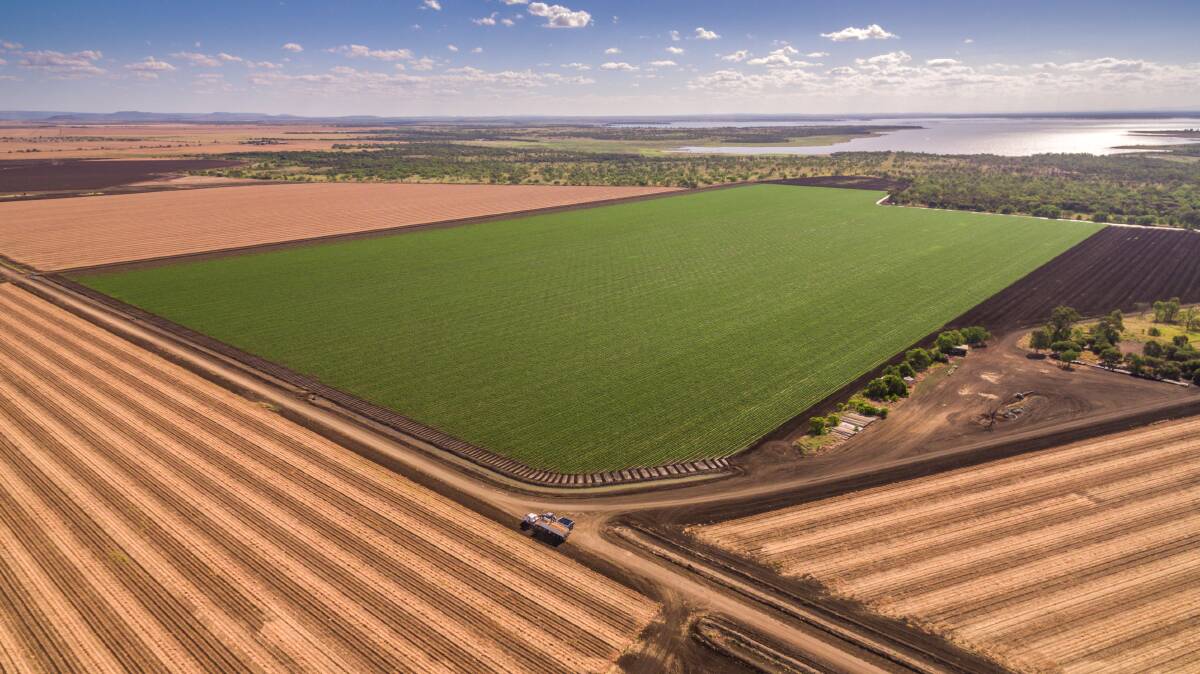 SOLD: The prime 1284 hectare Emerald irrigation and dryland cropping operation Knockavanon has sold. 