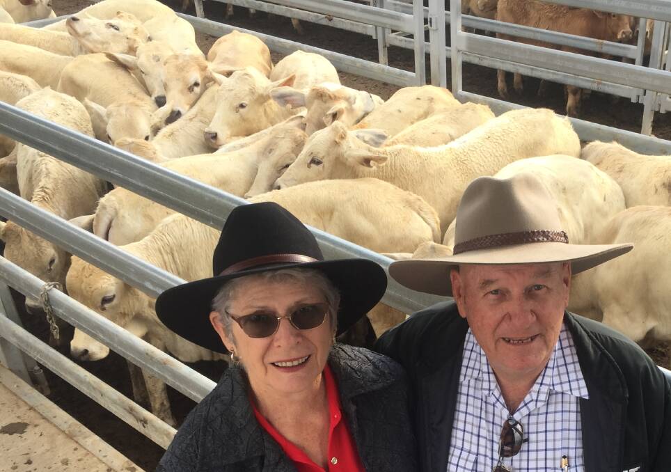 Shirley and Greg Callander, Colston Park, Sarina, with some of the 270 Charbray weaners they sold at the Biggenden Saleyards.