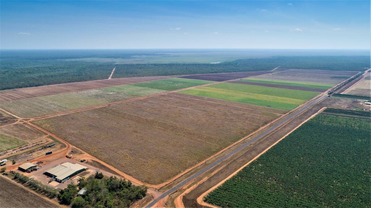 COLLIERS INTERNATIONAL: Large scale Northern Territory horticulture asset The Sweet Life Farms is on the market. 