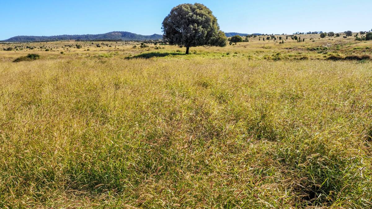 Queensland's already red hot rural property market went from strength to strength during 2022. 