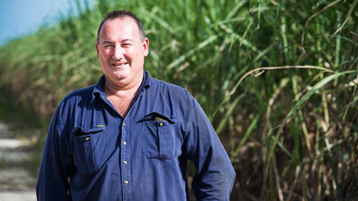 SUGAR DUMPING: Far North Queensland canegrower Stephen Calcagno says the global sugar price is US5c to US7c/lb below the cost of producing the crop on a sustainable basis in Australia. 