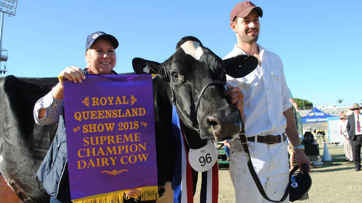 EKKA CHAMPION: Bianca Wheildon, Dairy Farmers Milk Cooperative, and handler Andrew Cullen with the supreme champion dairy cow of the 2018 Royal Queensland Show: Hillview Park Ariel Julianna 2, exhibited by the Barron family, Cambooya.