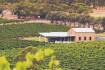 Wine producer backs domestic organic regulations