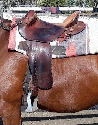 PITTSWORTH: Thieves stole a Craig Pomeroy stock saddle.