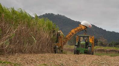 OPPORTUNITY KNOCKS: Future cane industry leaders are being encouraged to apply for one of six scholarships being offered by CANEGROWERS. 