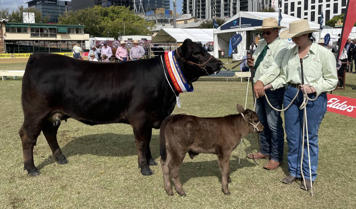The grand champion Limousin senior female O'Sullkivans Pearl with exhibitor Mick O'Sullivan, Lower Mount Walker, and calf handler 