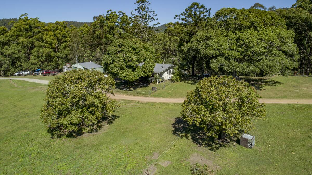 RAY WHITE RURAL: Offers are being sought on the 22 hectare Sunshine Coast hinterland property Evergreen.