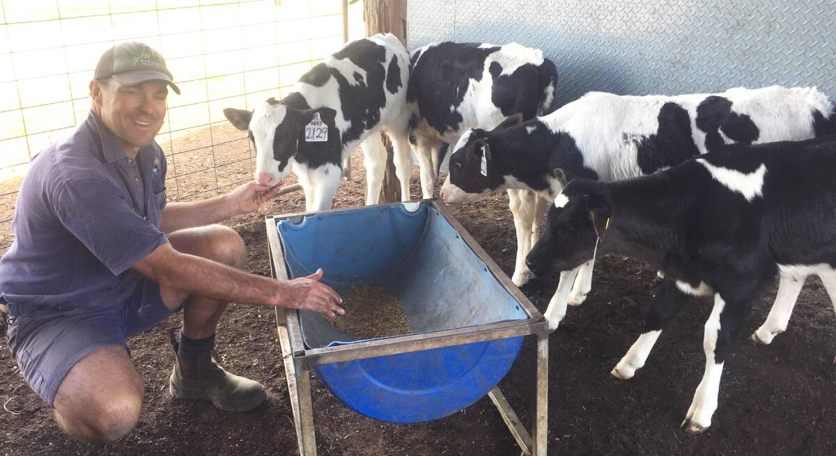 Paul Roderick with the next batch of heifers.