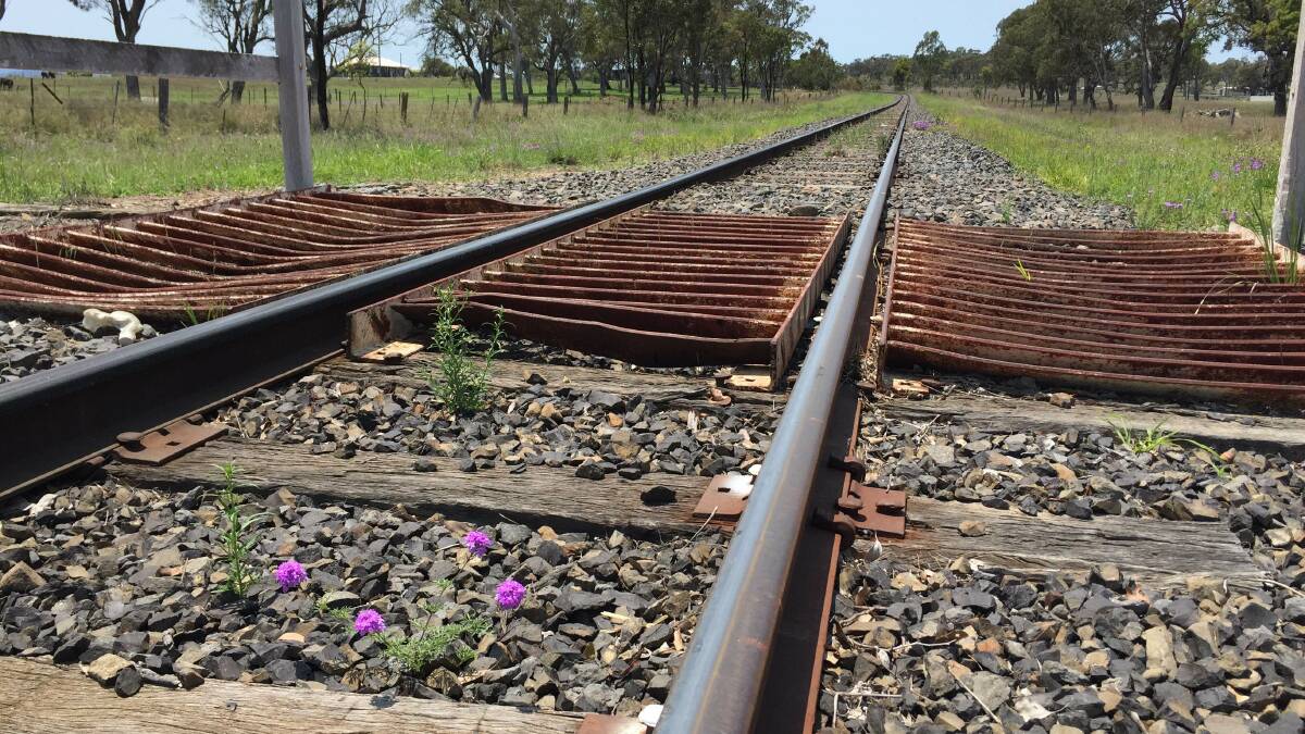 RAIL RIDERS: The rail forum in Goondiwindi will start at noon with a lunch and run until about 4pm.