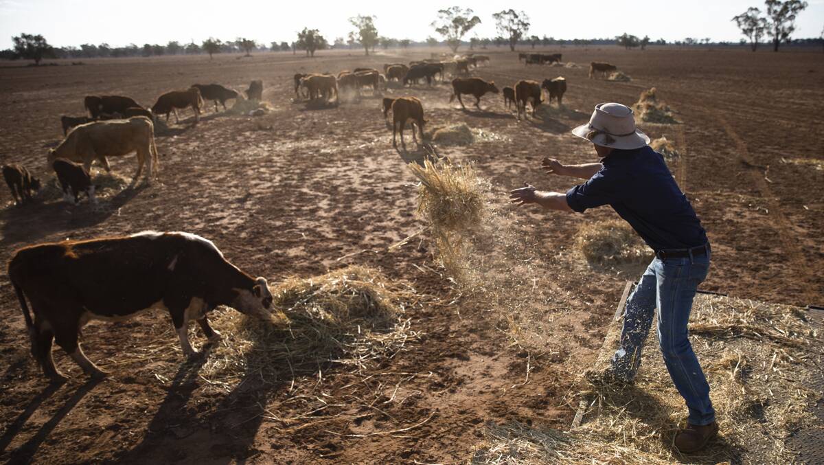 Australians are being urged to Let it Pour for drought-stricken farming communities. Photo - Krystle Wright.