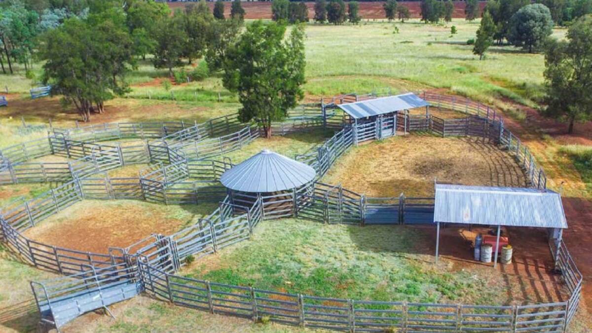 Improvements include steel cattle yards with a RPM crush, weigh box with Ruddweigh scales, and a Morrissey calf crush.