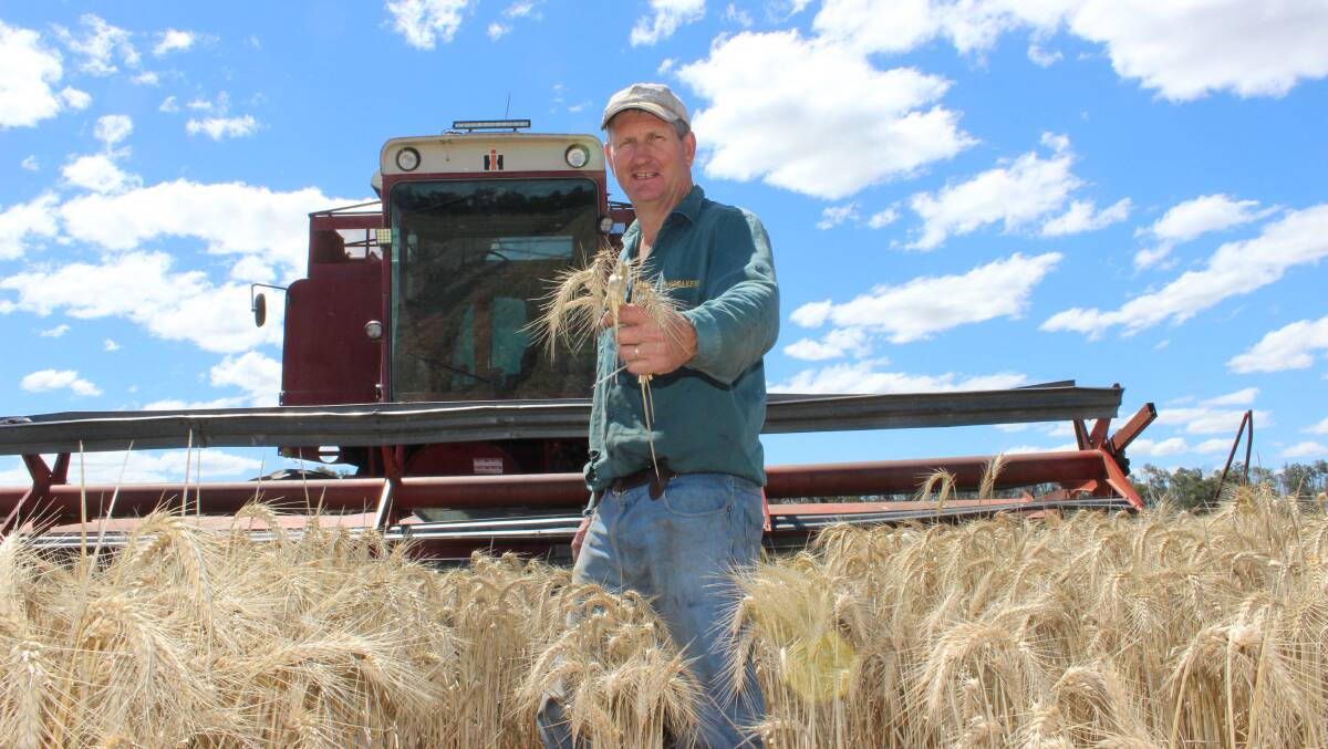 BLUE SKIES: Goondiwindi Mayor Lawrence Springborg has finally been able to restart harvest after an almost three week delay because of wet weather.