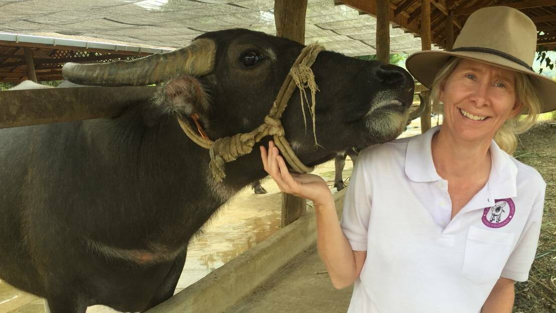 Susie Martin from Laos Buffalo Dairy at Luang Prabang.