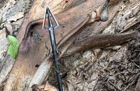RURAL CRIME: The Stock Squad has revealed cattle thieves used arrows to kill a $3000 steer near Esk.