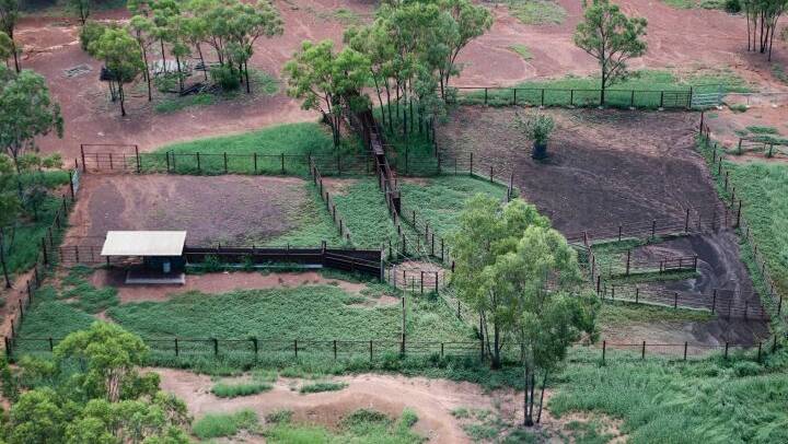 Redcliff has 11 paddocks and a centrally located set of steel cattle yards.  