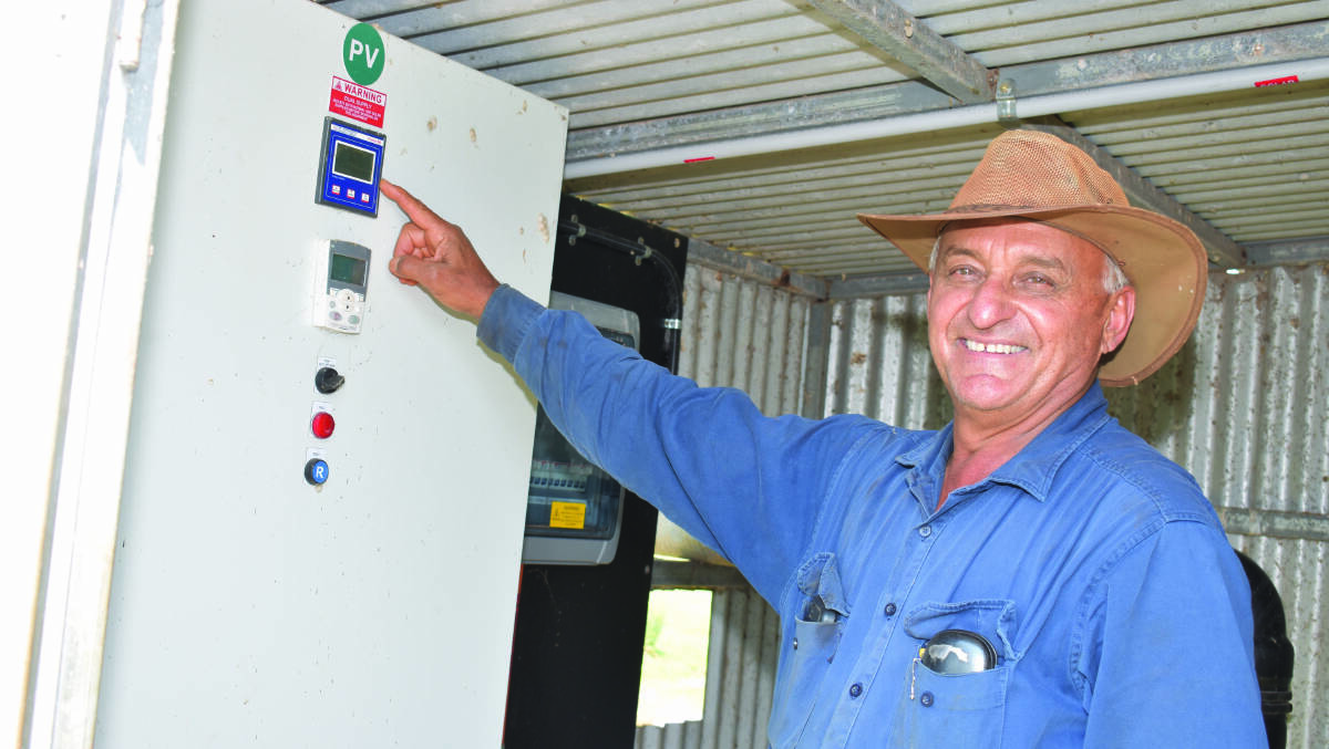  Isis grower John Russo has installed a money-saving solar project on his farm near Childers.
