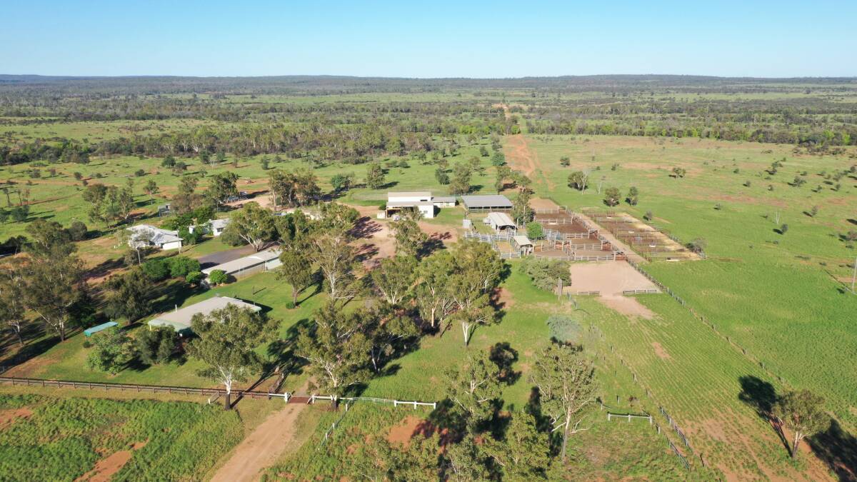ELDERS: Blackwater property Berrigurra has sold at auction for $32.5 million.