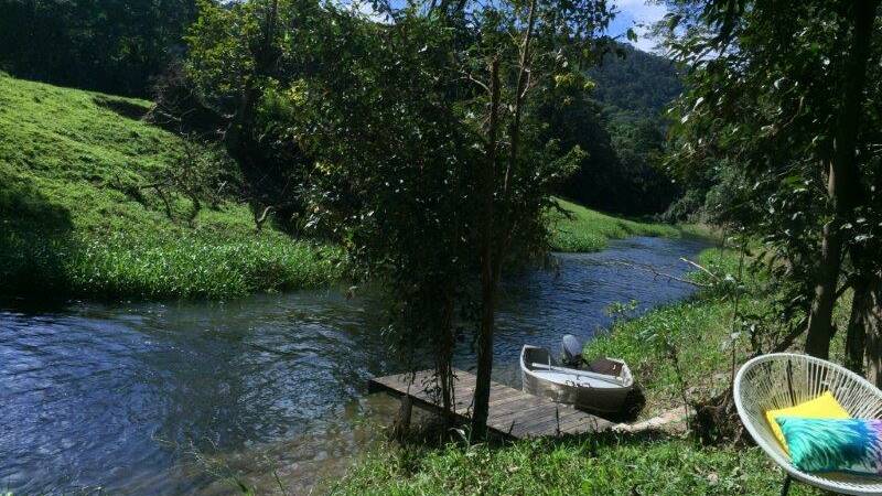 Upper Daintree River island up for grabs
