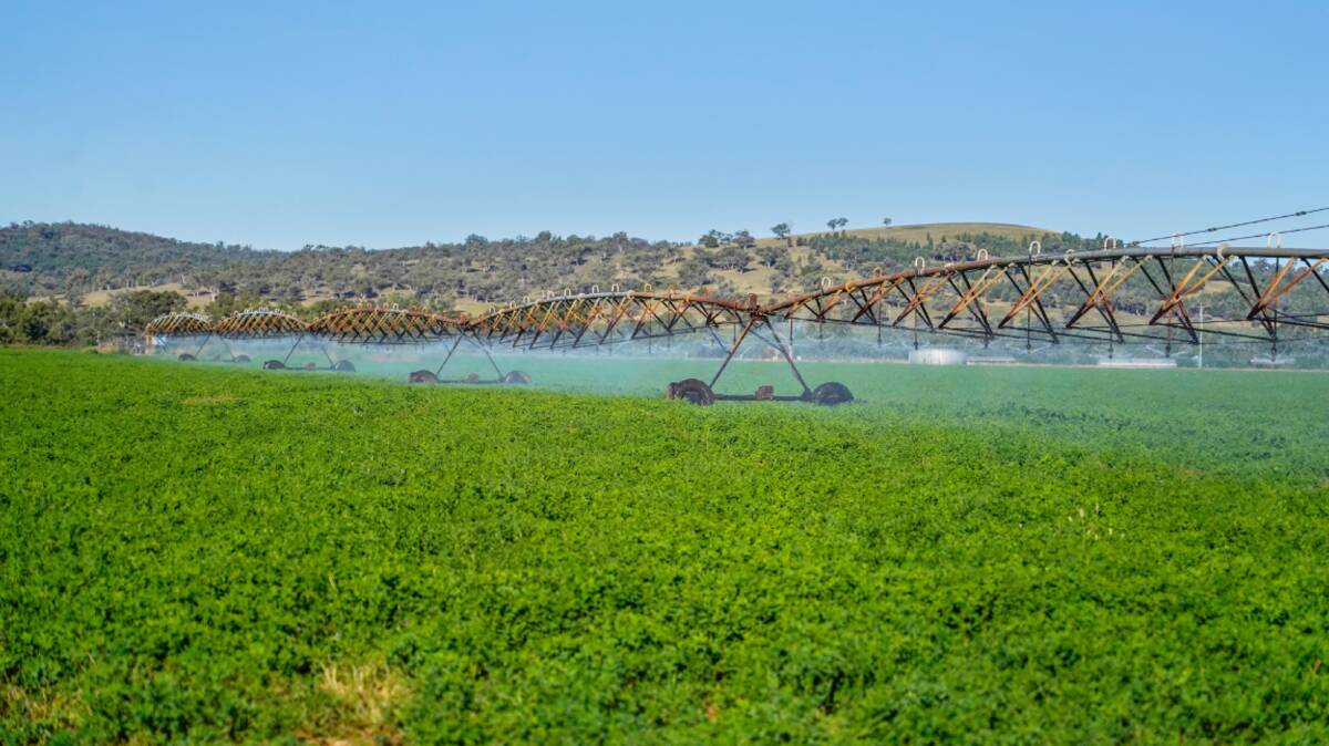 The production powerhouse is underpinned by its irrigation capability. Picture supplied