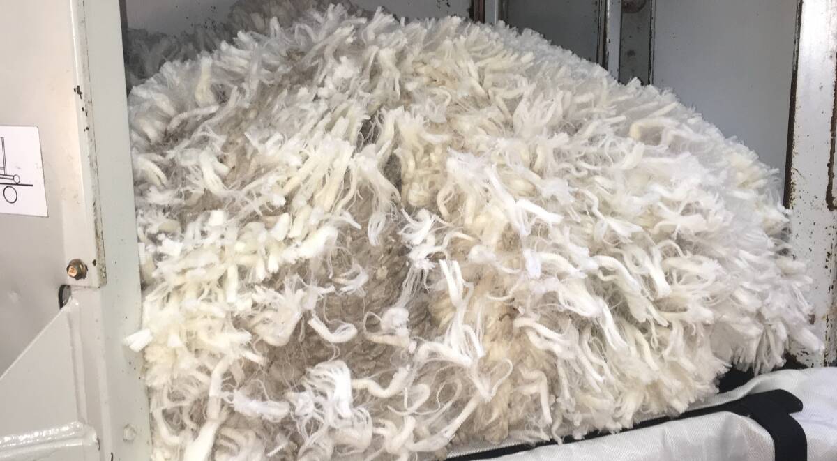 The Australian wool market has firmed up from a very low base. 