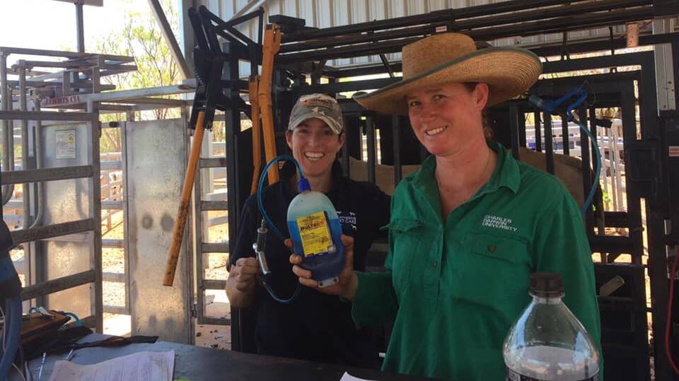 Dr Amanda Dunn from Katherine Veterinary Care Centre and Jessica Di Pasquale from Charles Darwin University taking part in the Multimin Performance Ready Challenge.