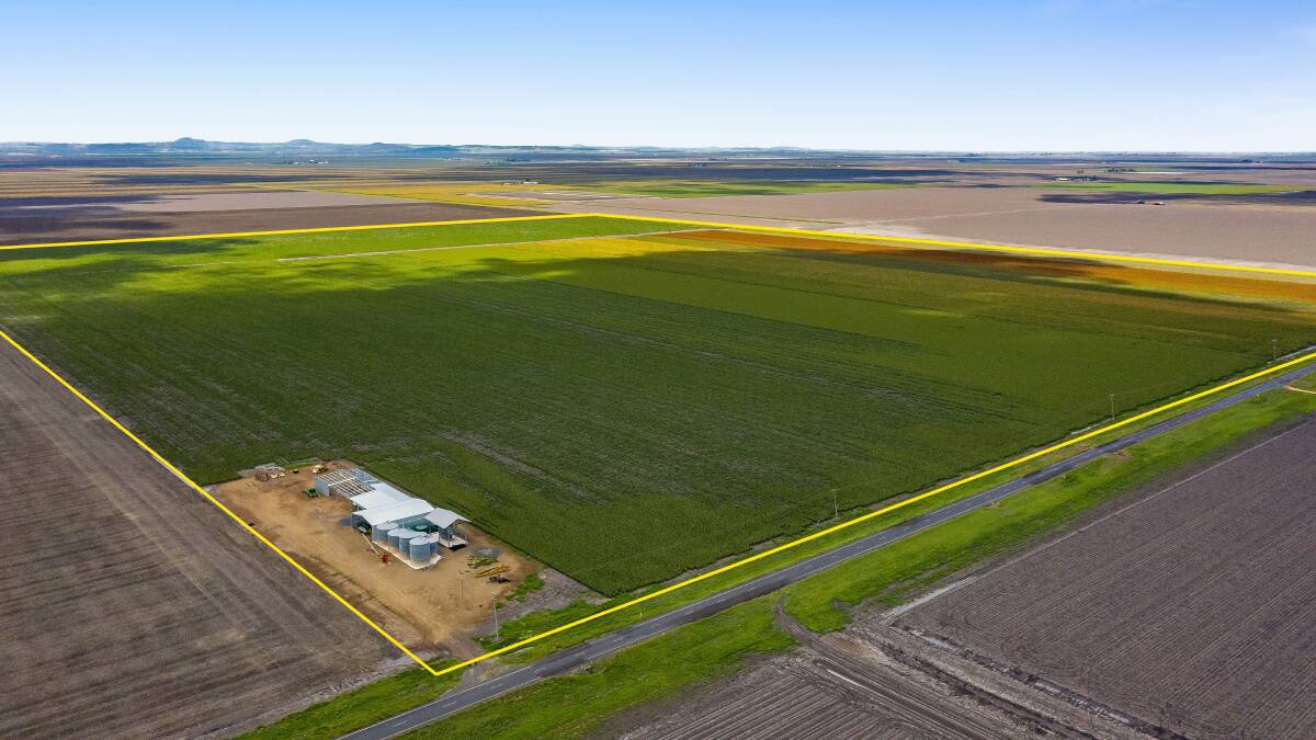 RAY WHITE RURAL: The Darling Downs property Zephyr has sold at auction for $2.75 million.