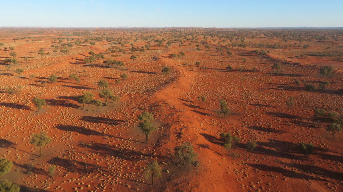 NORTHERN TERRITORY: Very dry conditions have not dampened strong demand for grazing country.