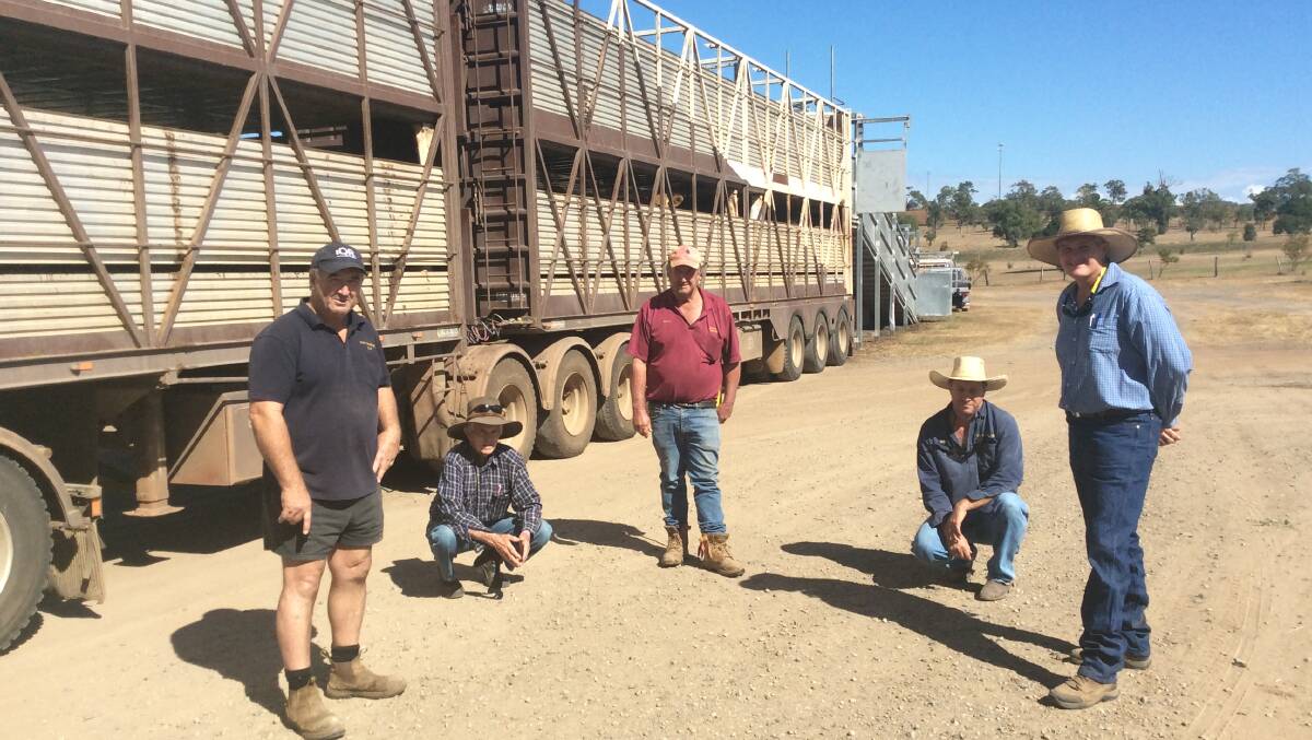 David Brennan (second from right) and Leon Brennan (far right), Boonah, pictured with Bob Symes, Danny Symes and Troy Symes from Symes Transport, Wandoan, bought six decks of top Charolais-cross weaners to fatten on the family's property Parraweena at Taroom. 