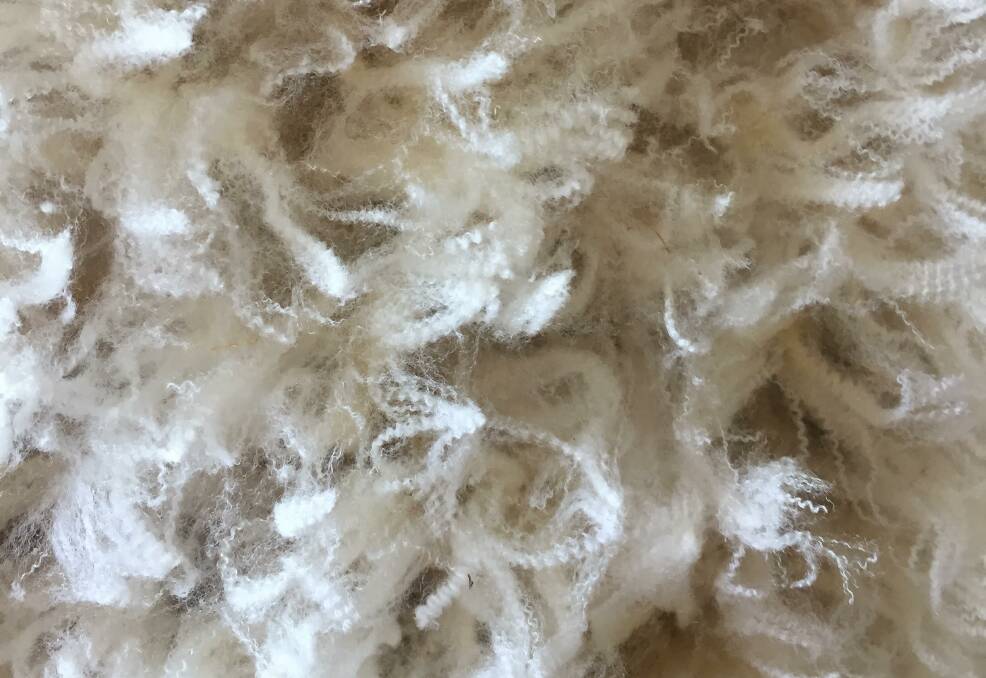WOOL MARKETS: With 19.5 micron fleece selling for $23 and 21 micron not far behind Australian wool prices are still fantastic.