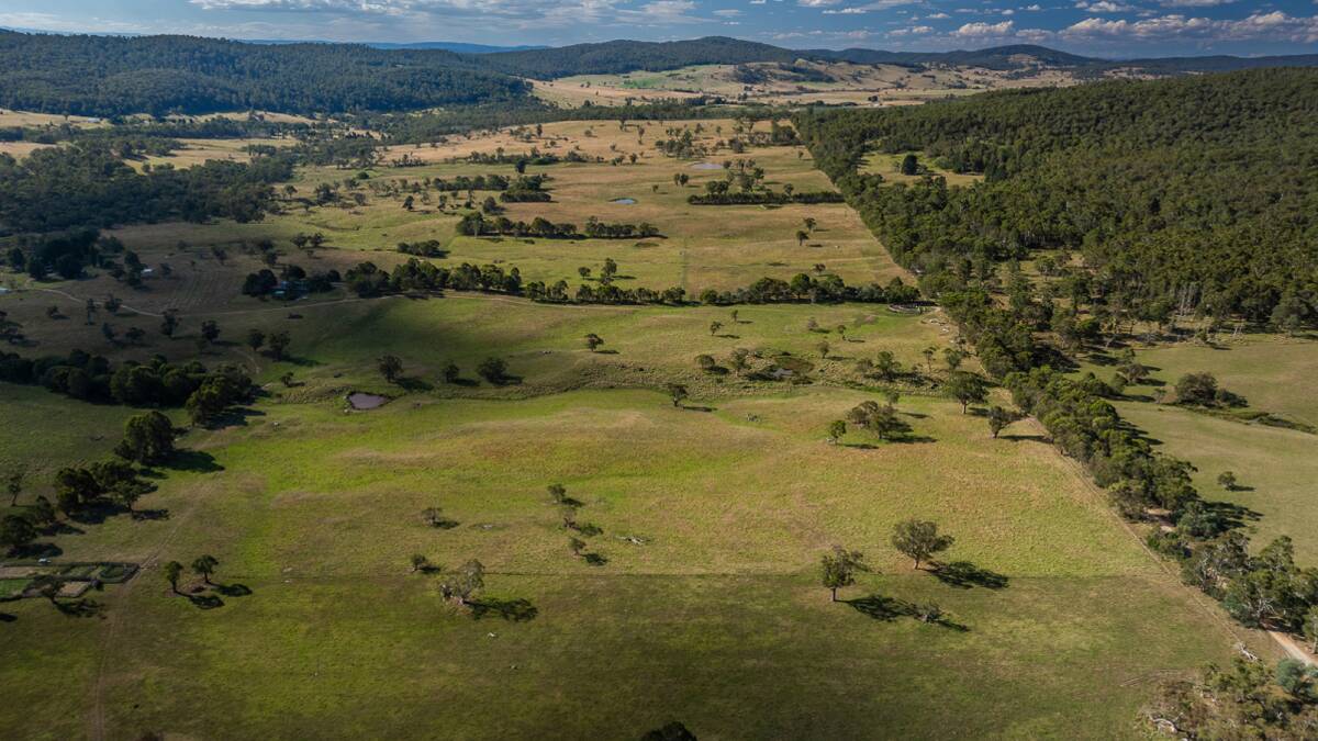 Woodville will be auctioned by Elders in Sydney on June 6. Picture supplied