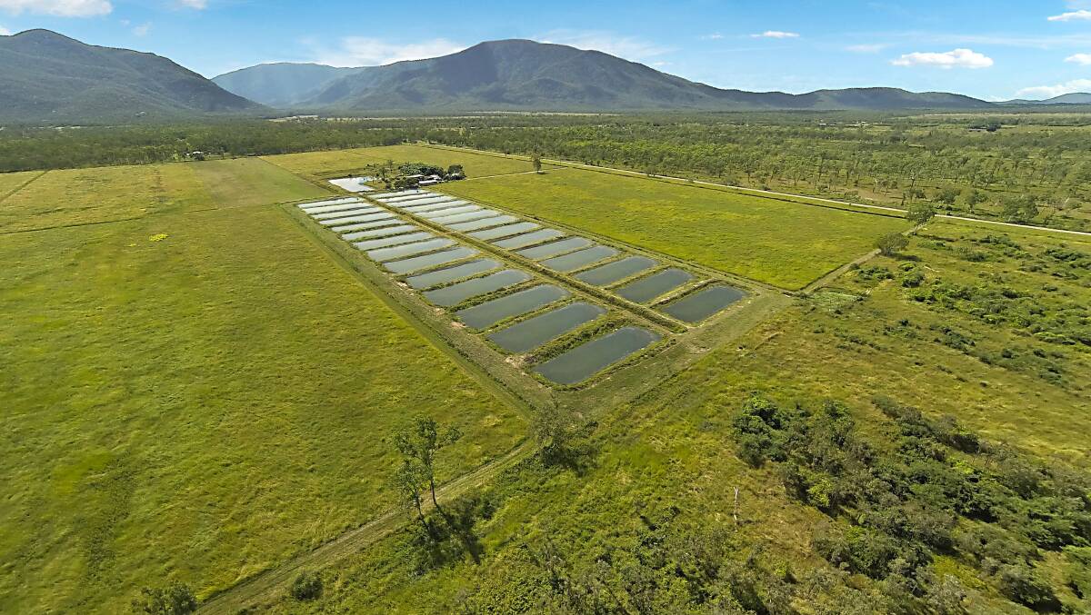 CBRE: Offers exceeding $4 million are anticipated for the Ausgold Aquaculture operation near Townsville.