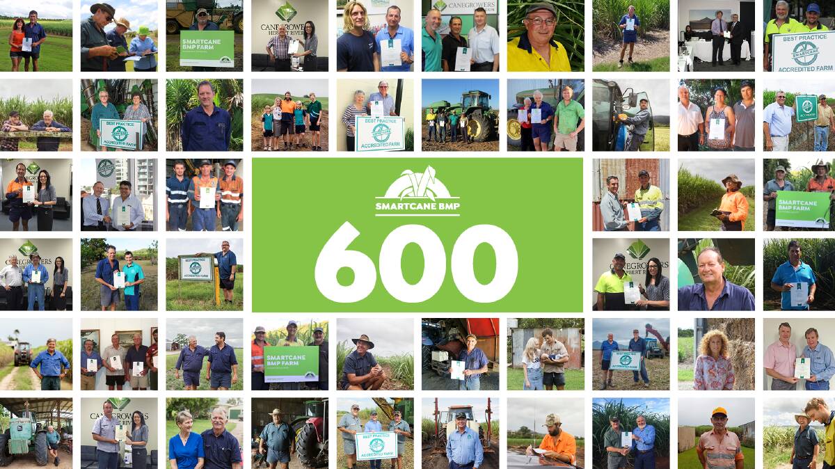 INDUSTRY WIN: 600 cane farm businesses have been independently assessed as operating at or above industry best practice under the Smartcane BMP program.