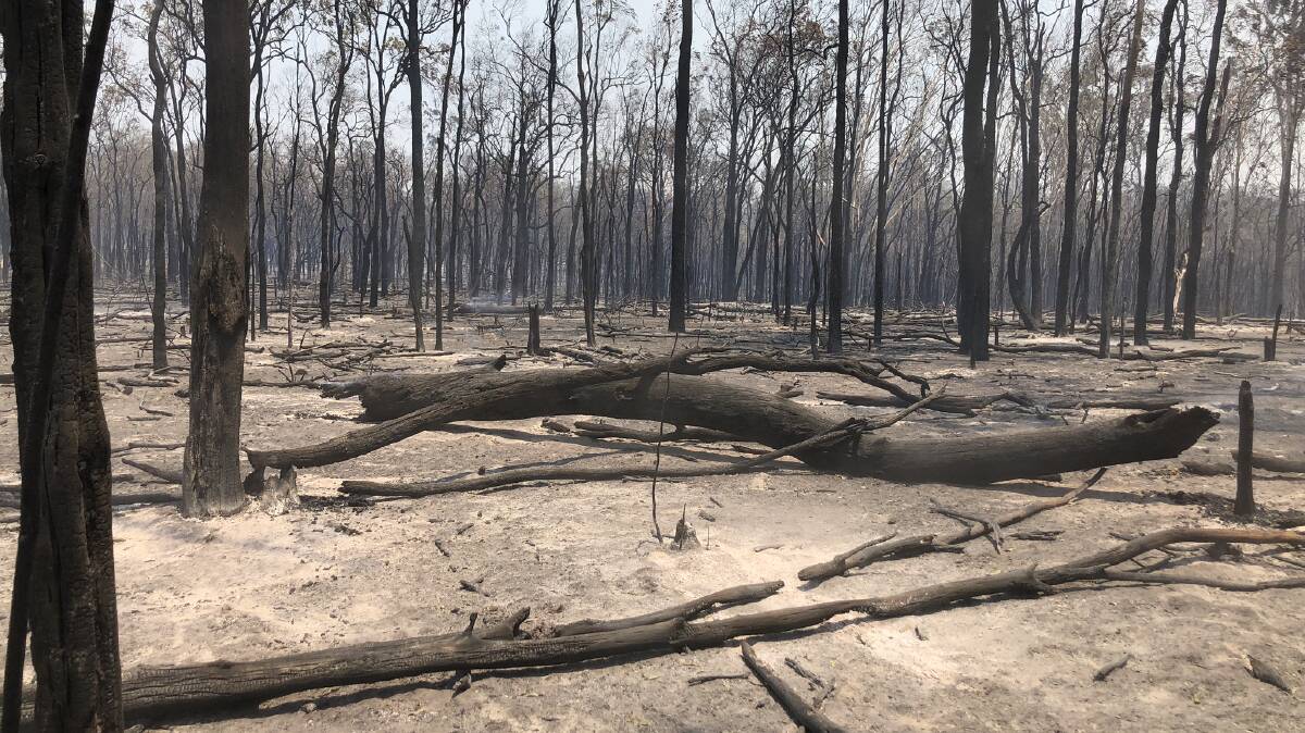 DEVASTASTION: There are calls for a Parliamentary Inquiry to be held into Queensland’s devastating bushfires.