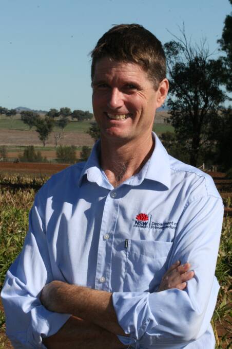 CHICKPEAS: NSW DPI research officer Sean Bithell hosts a new GRDC instructional video on managing phytophthora root rot.