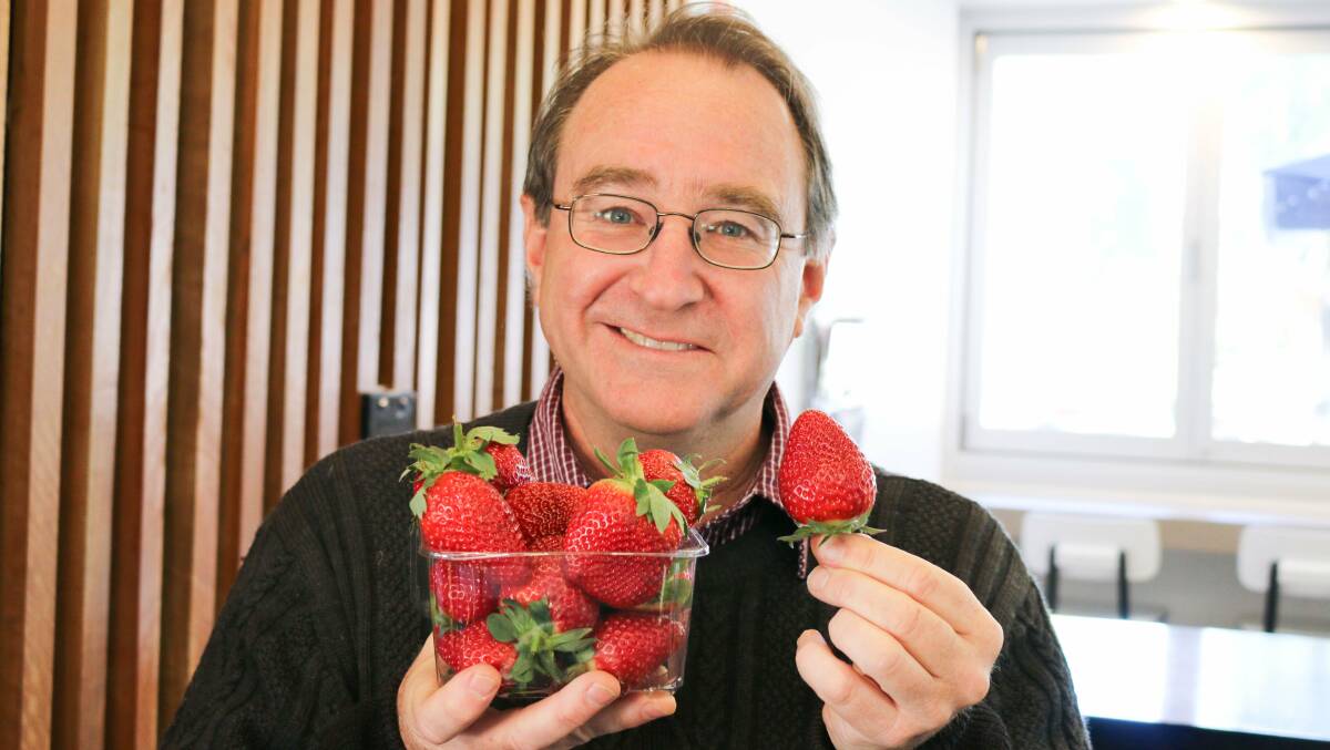 HEALTH BENEFITS: Researcher Dr Tim OHare with the very sweet strawberry with high folate levels.