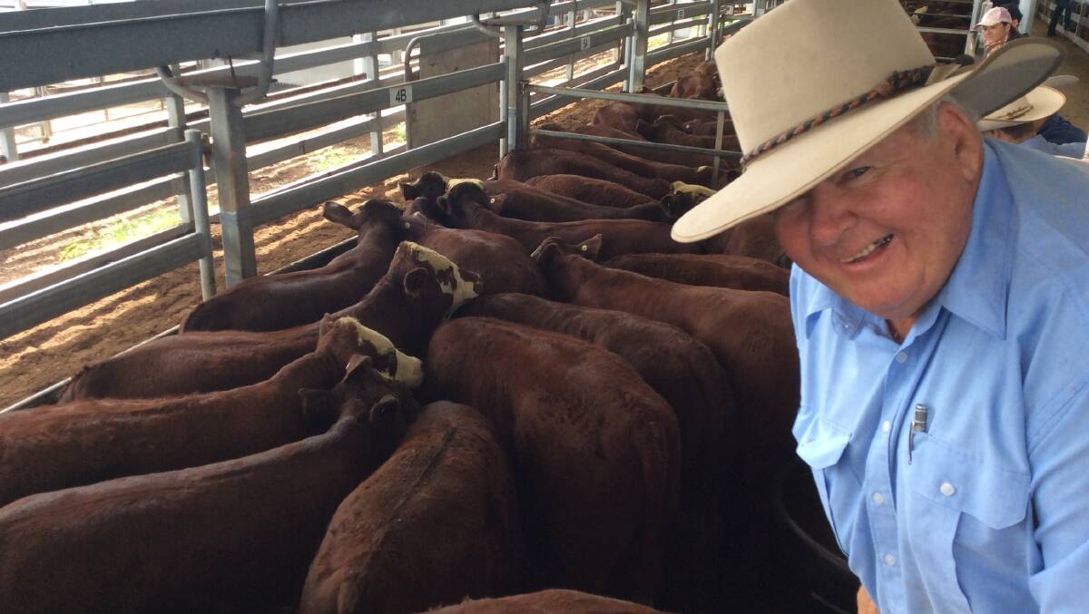 John (pictured) and Marie Smith, Glenayre, Woodenbong, topped Casino's day three sale with their 365kg Santa/Hereford-cross making 310c to return $1129.  