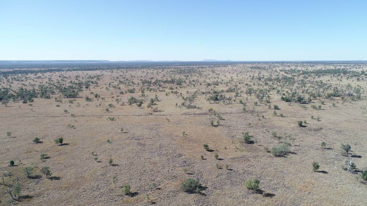 The 5273 hectare Moranbah property Grosvenor Down's will be auctioned by Elders on August 27.