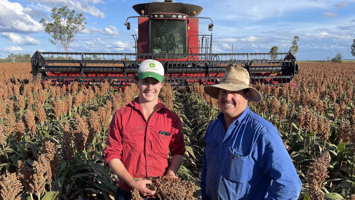 TOP PERFORMER: Sam McGrath and his father John in their crop of Buster sorghum at Cecil Plains.