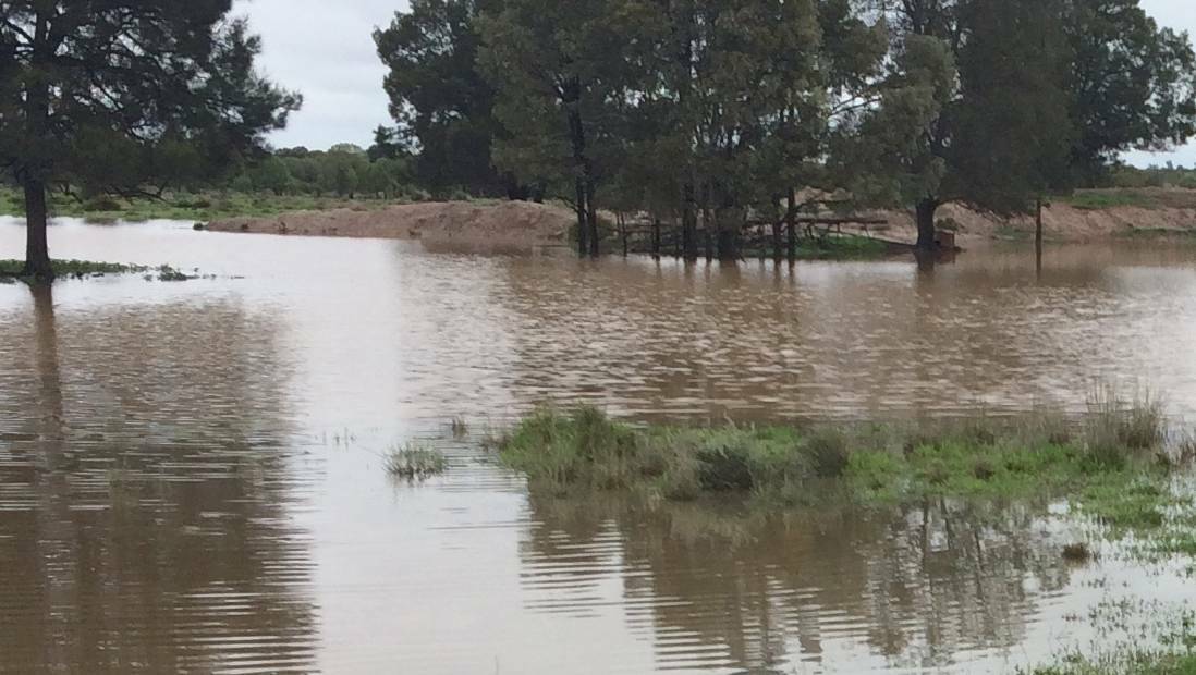 The Murray-Darling Basin Royal Commission says it can compel witnesses from any state to give evidence.