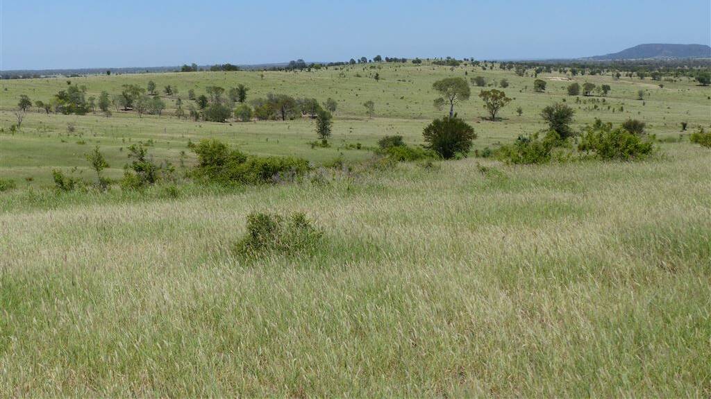 LANDMARK HARCOURTS: The 1054 hectare Taroom property Two Up has sold at auction for $4.15 million.